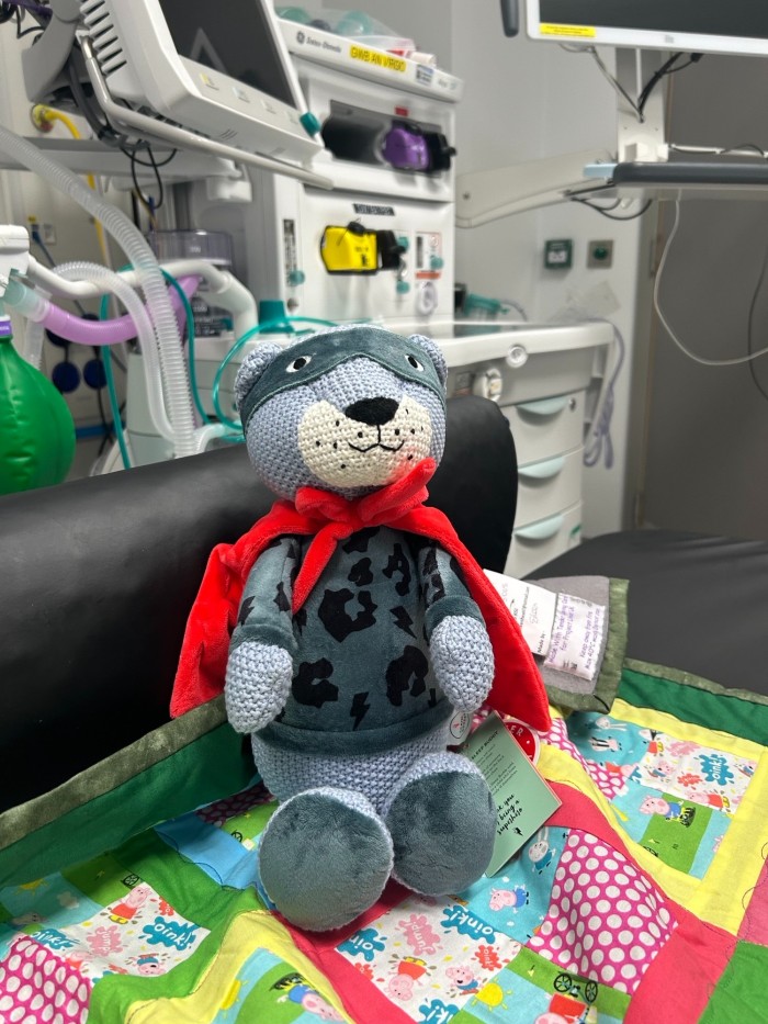 Scamp and Dude Radiotherapy Teddies (1).jpeg