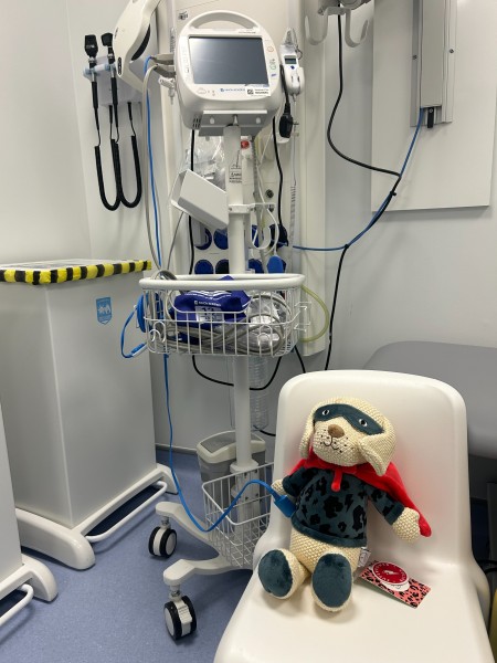 Scamp and Dude Radiotherapy Teddies (4).jpeg