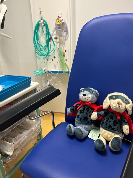 Scamp and Dude Radiotherapy Teddies (3).jpeg